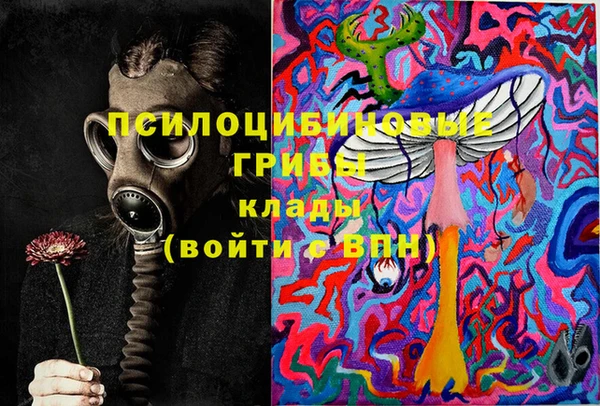 Альфа ПВП Алзамай